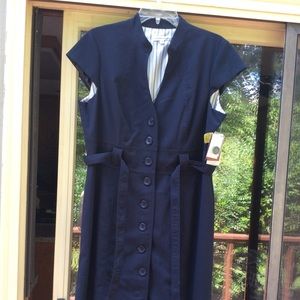 NWT Sandra Darren Button Down Dress 14P
